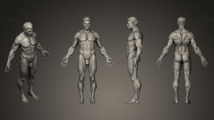 Figurines of people (Man anatomy study, STKH_0038) 3D models for cnc